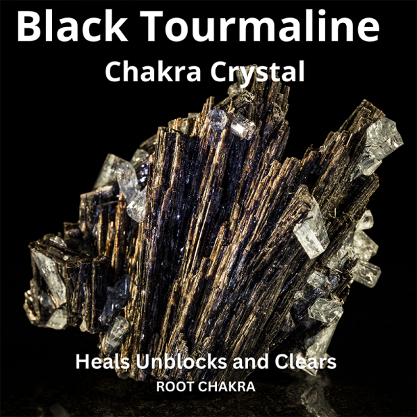Black Tourmaline Chakra Crystal Meanings And Shop black-tourmaline-chakra-crystal-meanings-and-shop